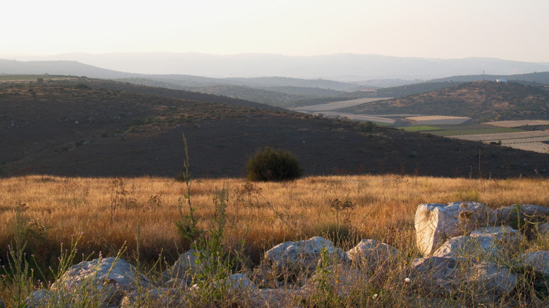 canaanite city of lachish