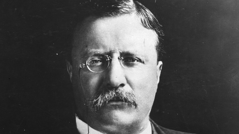 Theodore Roosevelt posing
