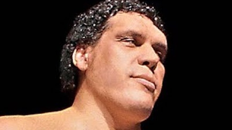 Andre the Giant staring down