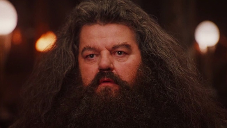 hagrid smiling