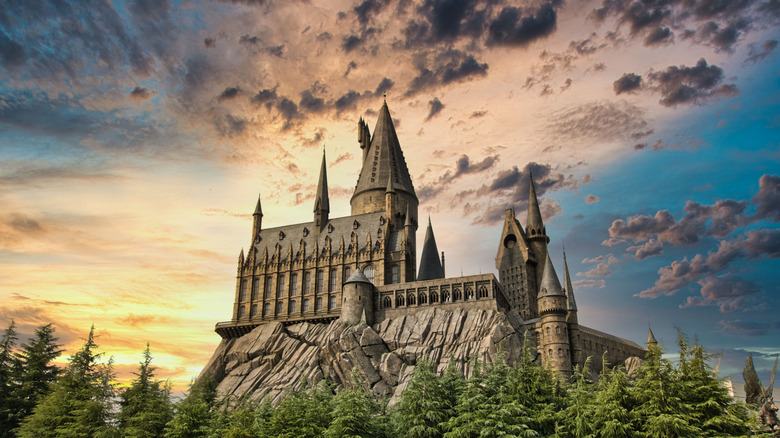 Hogwarts Wizarding College