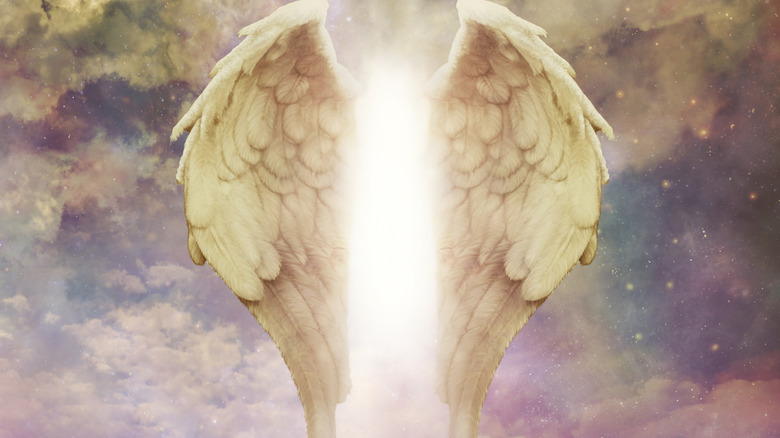 Glorious angel wings