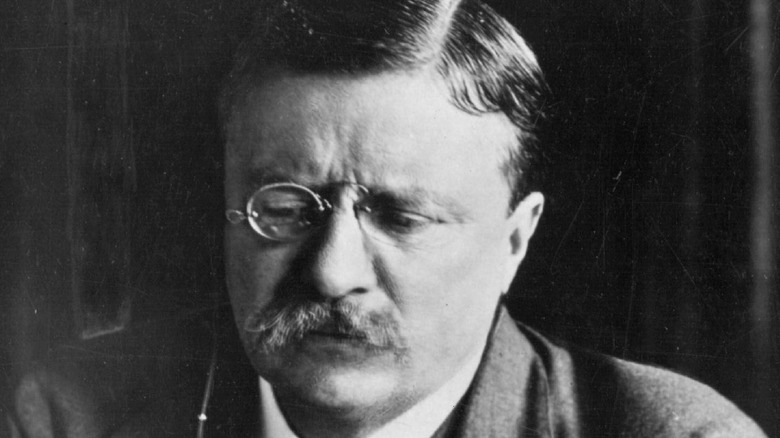 President Theodore Roosevelt in 1905