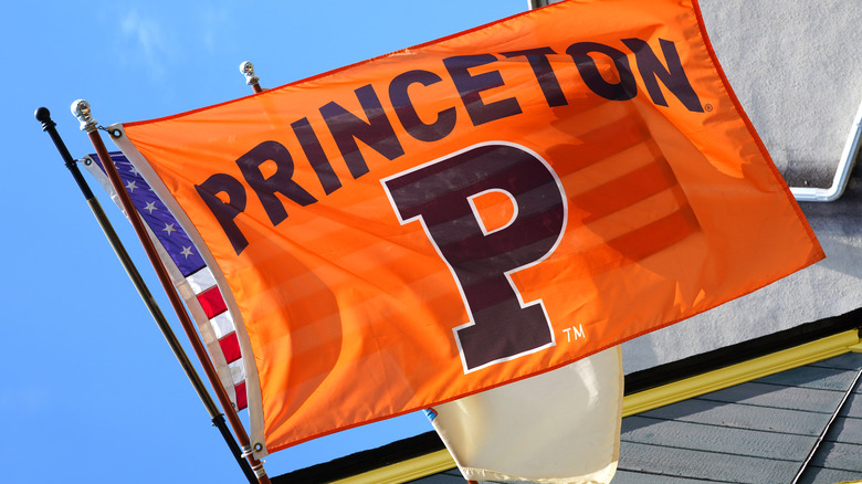 Princeton University flag