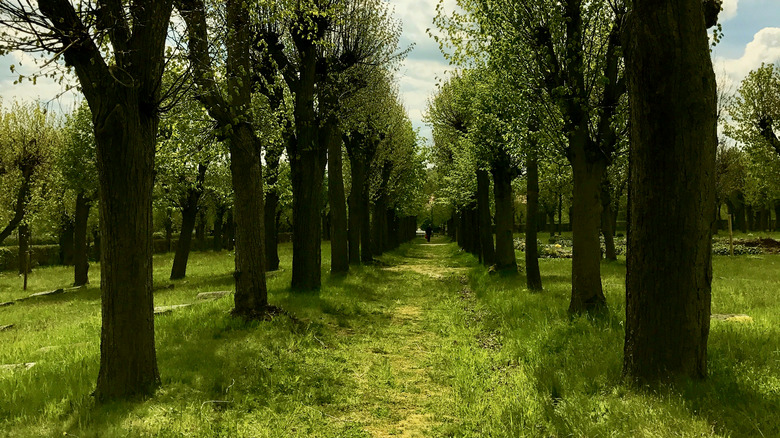 'God's Acre' in Herrnhut