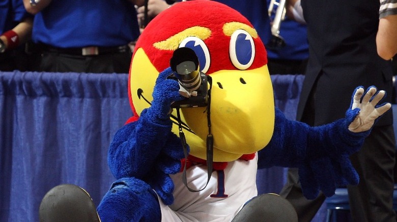 KU Jayhawk