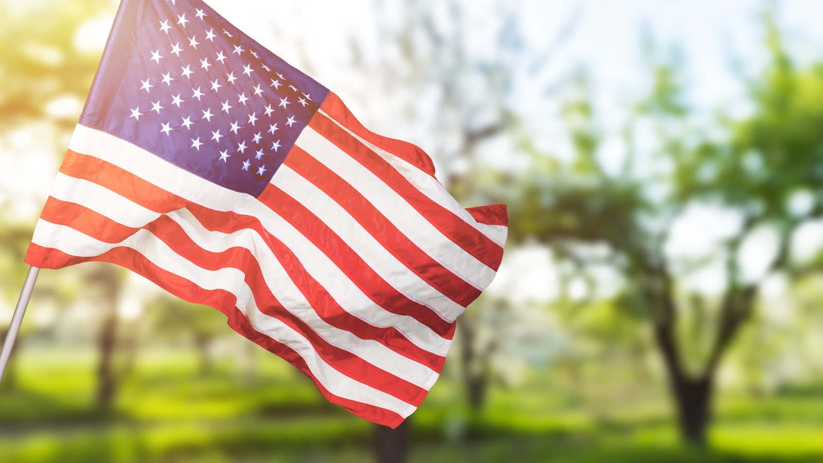 The Origins Of Flag Day Explained