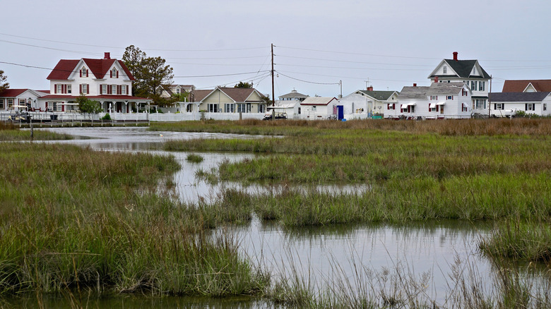 Rising sea levels at Tangier Island