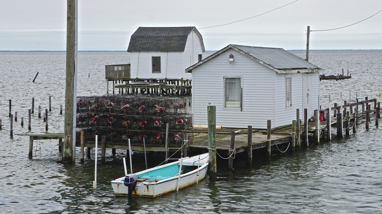 Waters at Tangier Island