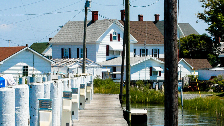 An arriving dock at Tangier Island
