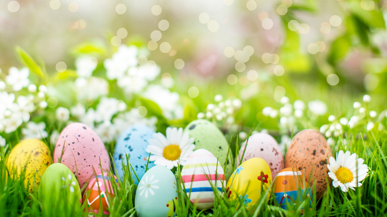 Painted Easter eggs on grass