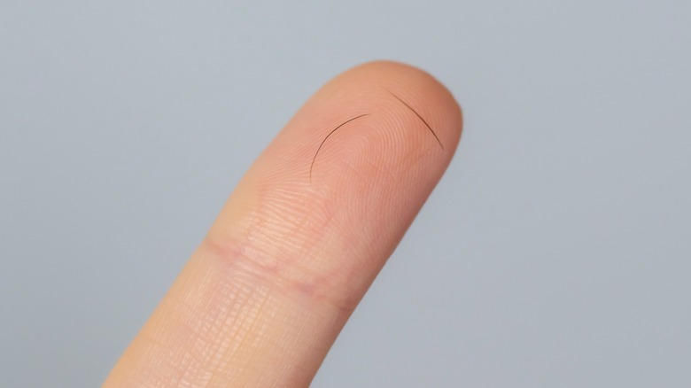 Two eyelashes on a fingertip