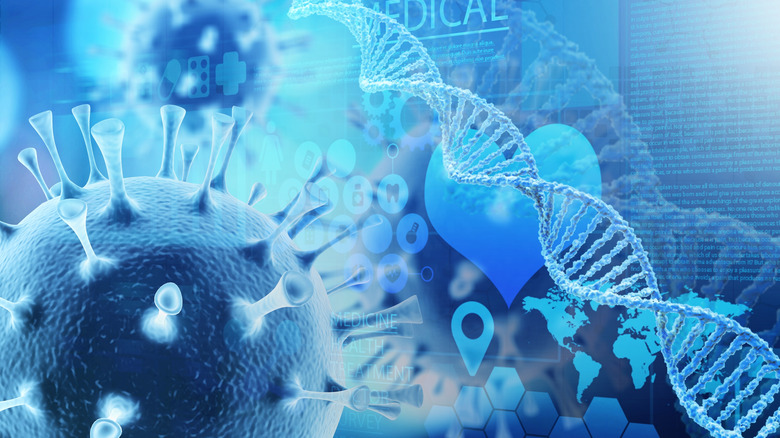 Virus and DNA strand