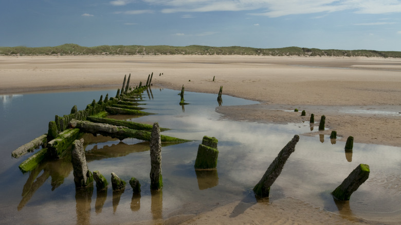 shipwreck on beach