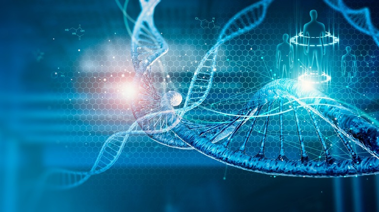 Spiraling DNA molecules