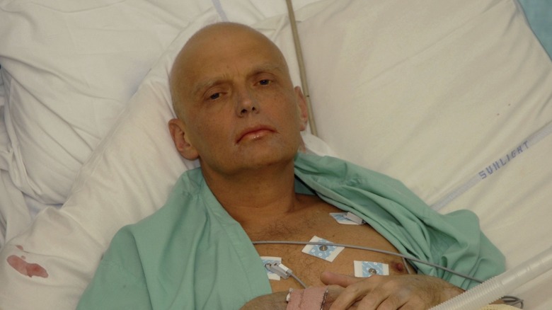 Alexander Litvinenko in his hospital bed