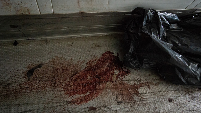 A body bag