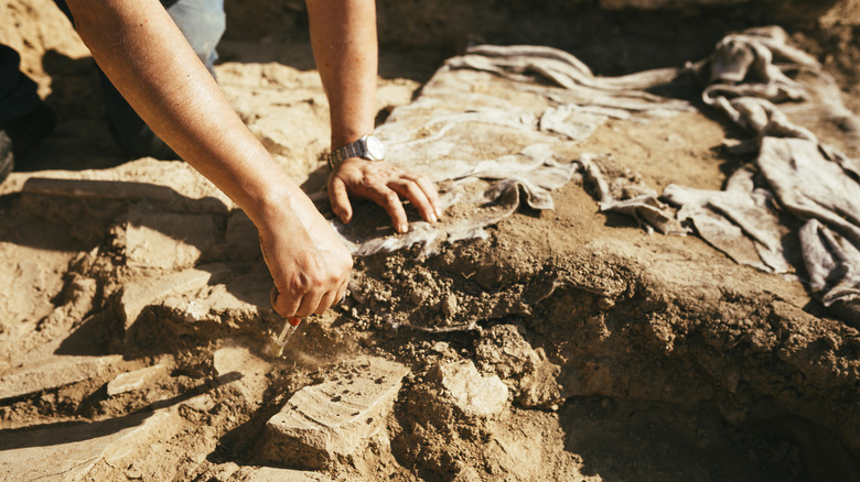 Close-up of archaeologist brushing off artifacts