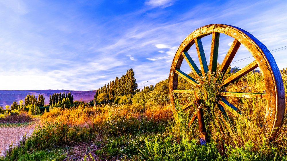 Wagon wheel looking west