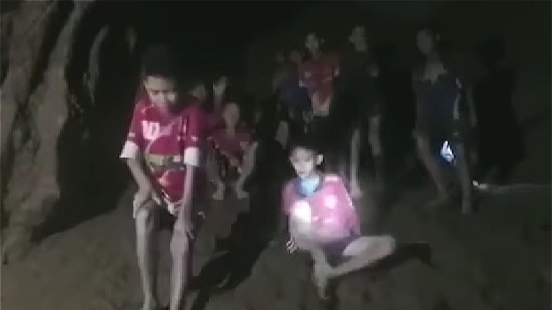 Wild Boars stuck in cave