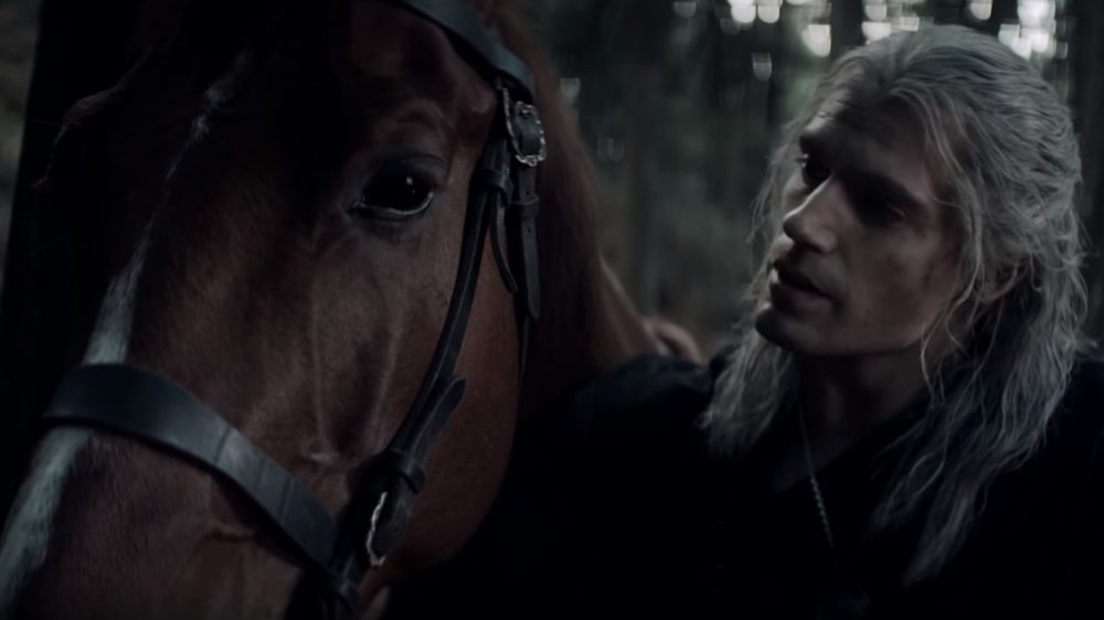 witcher roach