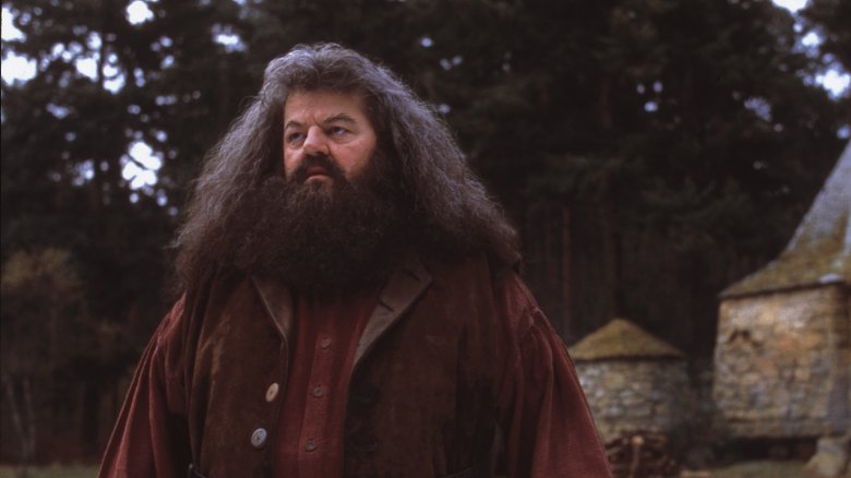 Robbie Coltrane in Harry Potter and the Prisoner of Azkaban