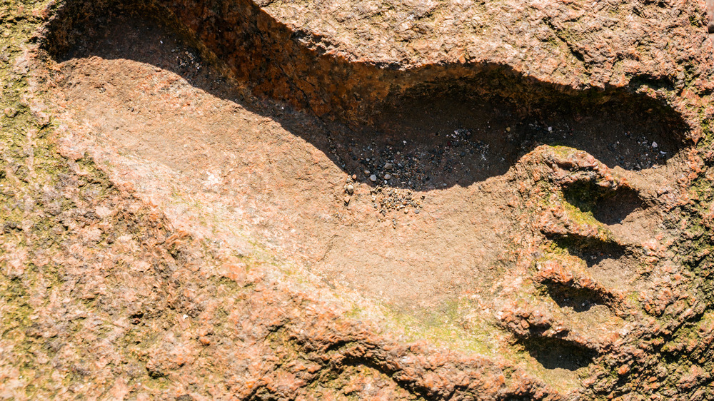 Bigfoot footprint