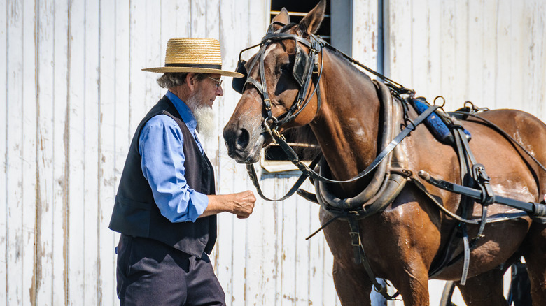 amish man with horse 