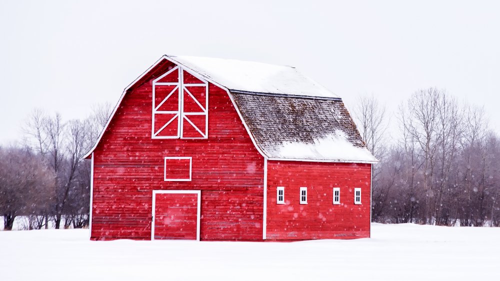 Barn in winter
