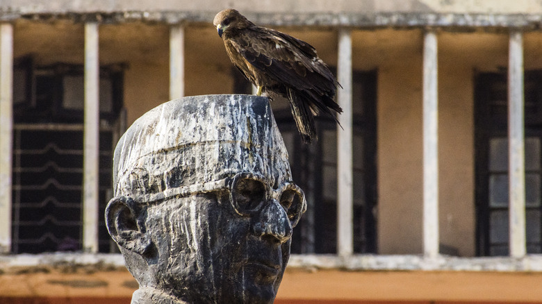 Bird sits on a droppings-bedecked statue