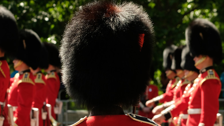Royal Guards bearskin hats