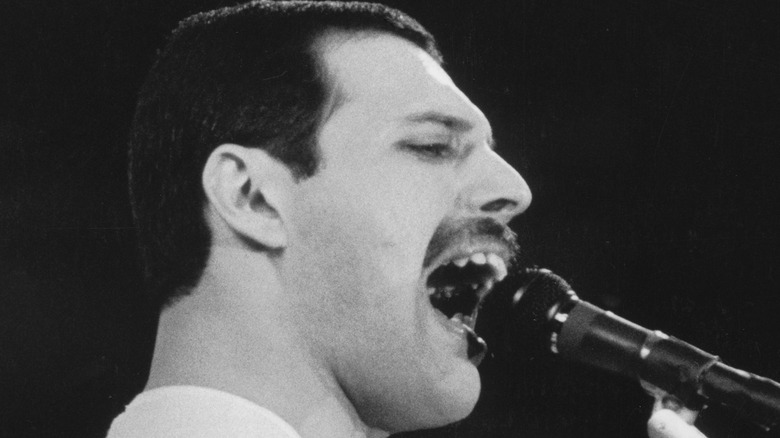 Freddie Mercury