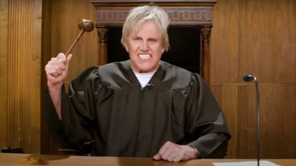 Gary Busey, Pet Judge