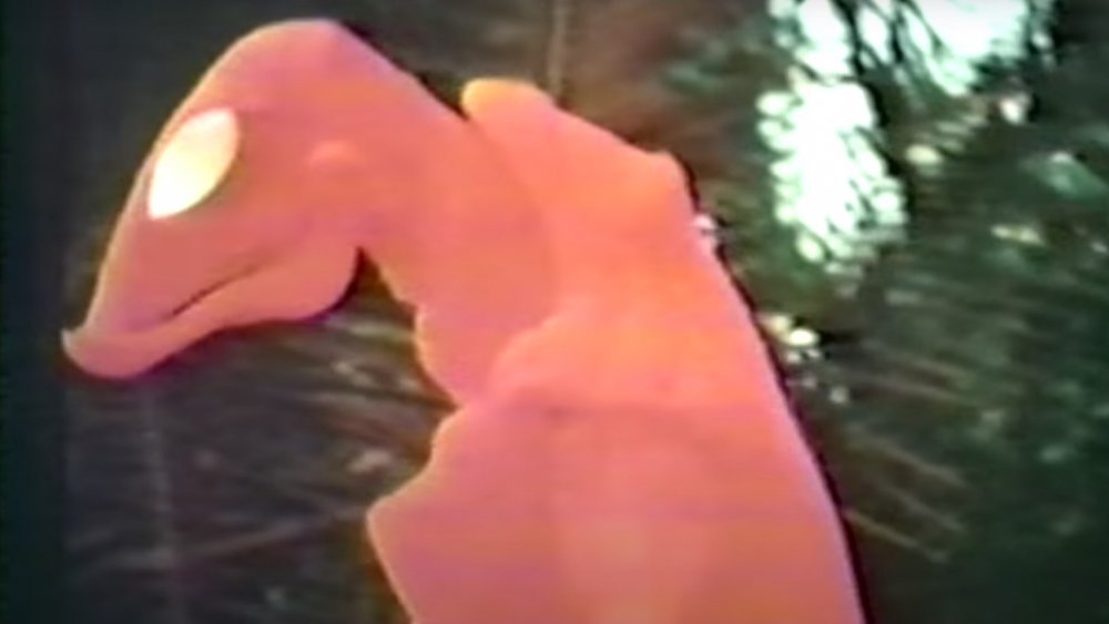 original predator