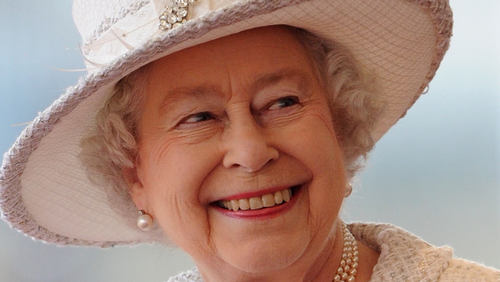 The Real Reason Queen Elizabeth Owns All Of The Dolphins And Swans In