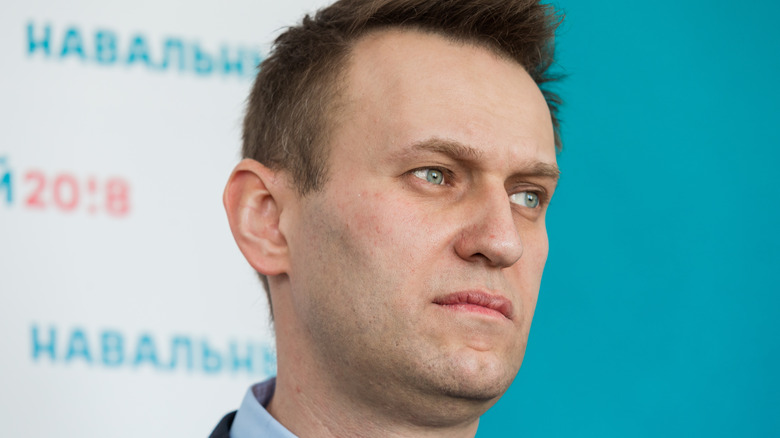 Alexei Navalny in 2017 