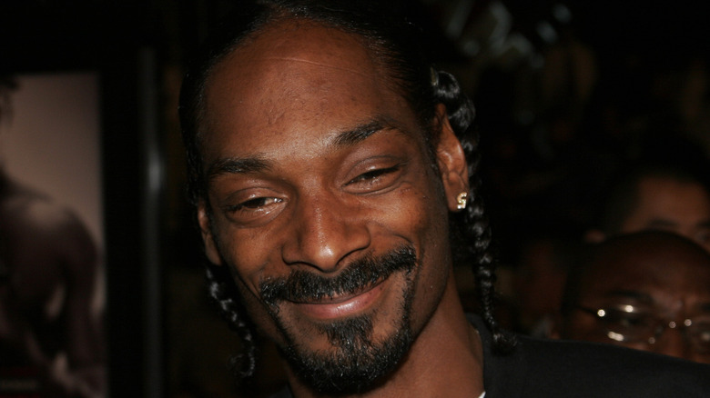 Snoop Dogg smiling