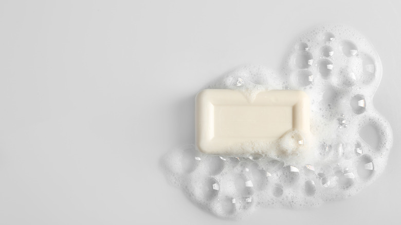 Sudsy soap bar