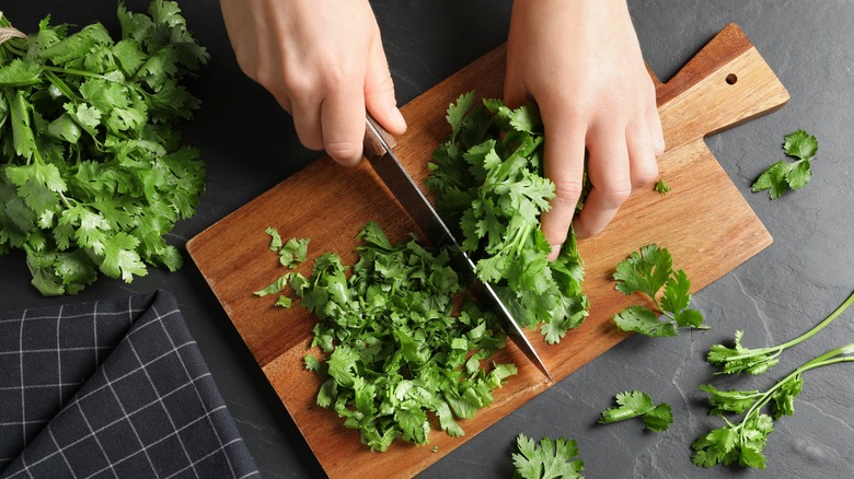 Cilantro cut on cutting board 