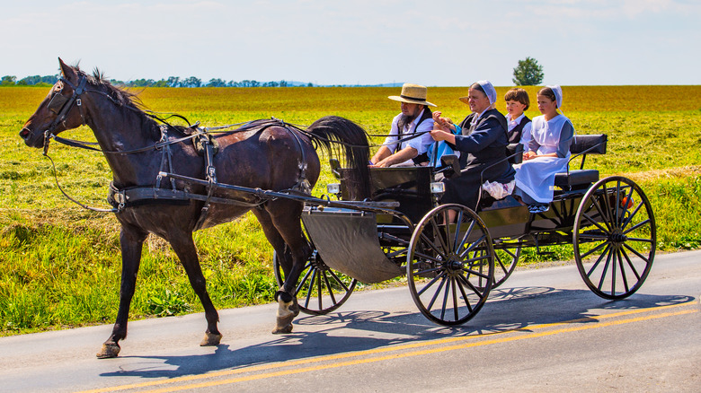 Amish family riding a wagon