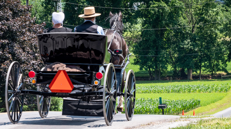 Amish buggy traveling down the road