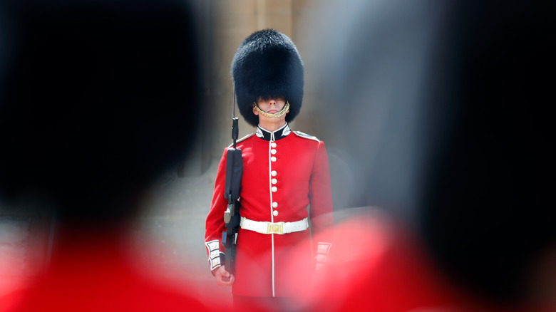 Guardsman standing guard