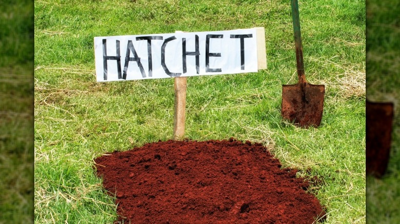 buried hatchet