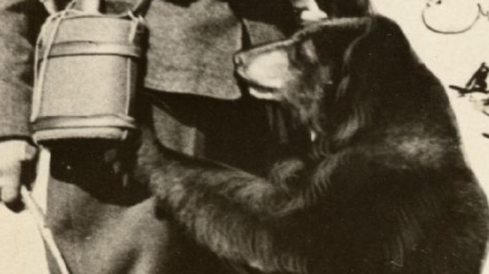winnie, providing comfort to lonely soldier