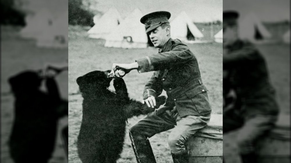 The Wartime Origins of Winnie-the-Pooh