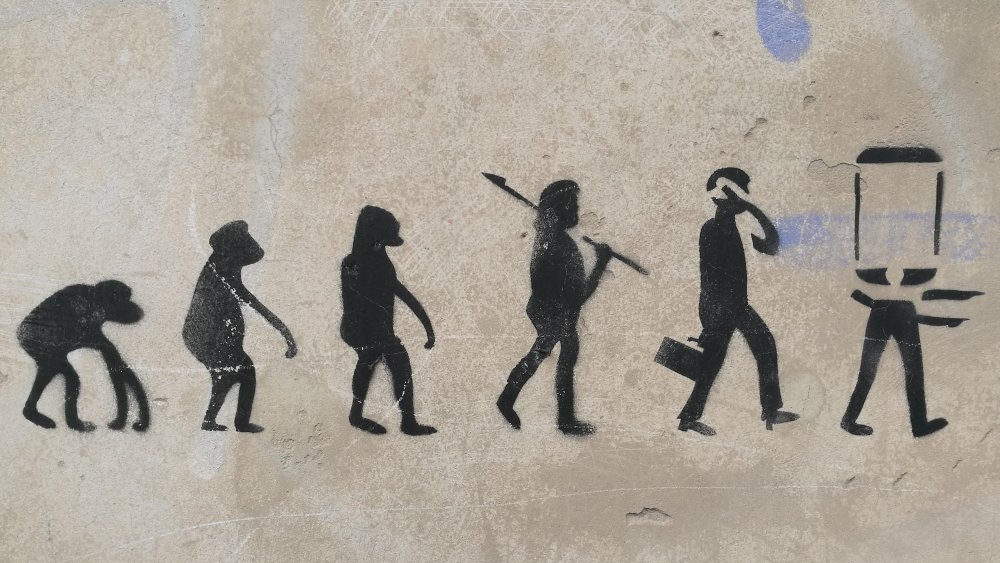 Evolution of man