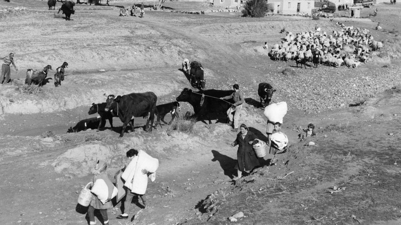 Turkish Cypriots flee after massacre