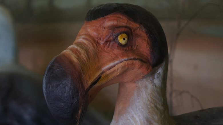 A statue of a dodo bird with beak closed