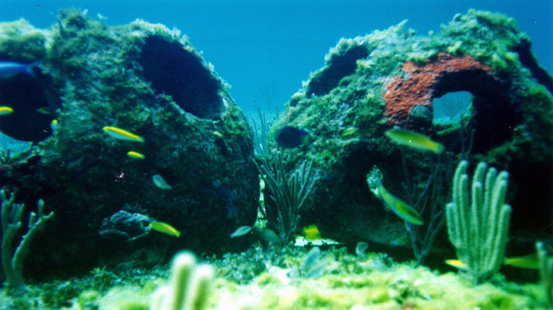 Eternal reefs burial