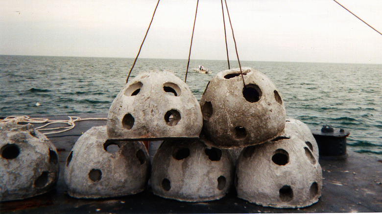 Eternal reefs being submerged